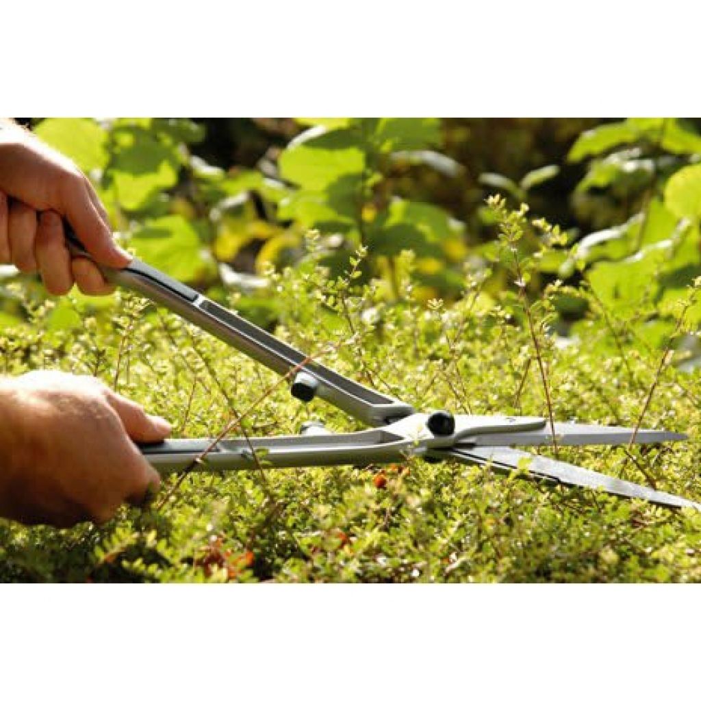Pruning shears for boxwood Burgon & Ball - RHS Range.