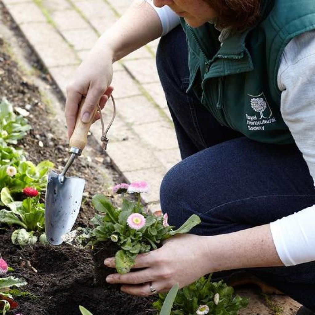 Burgon & Ball Transplanter - RHS Range