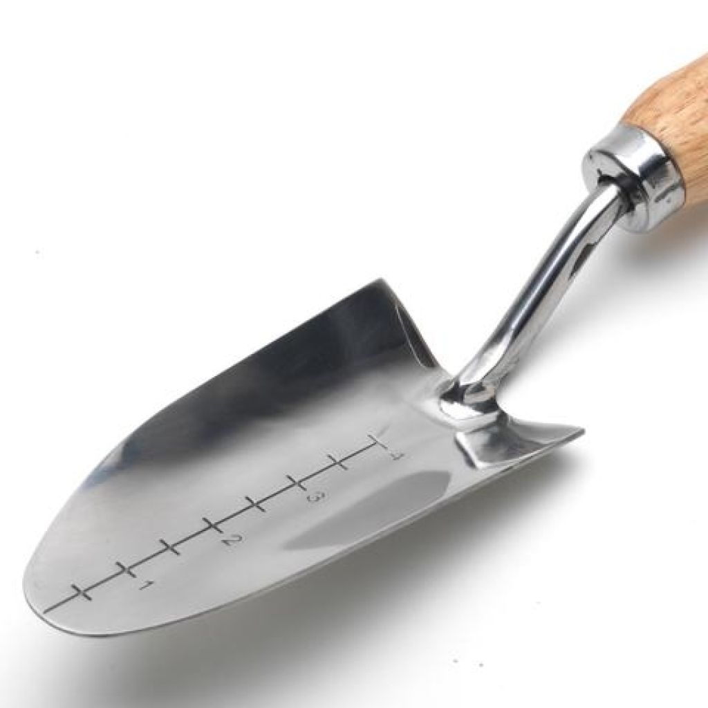 Burgon & Ball Graduated Transplanter - RHS Range