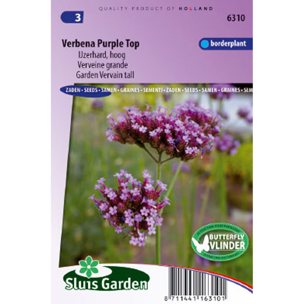 Verbena Purple Top - Vervain Seeds