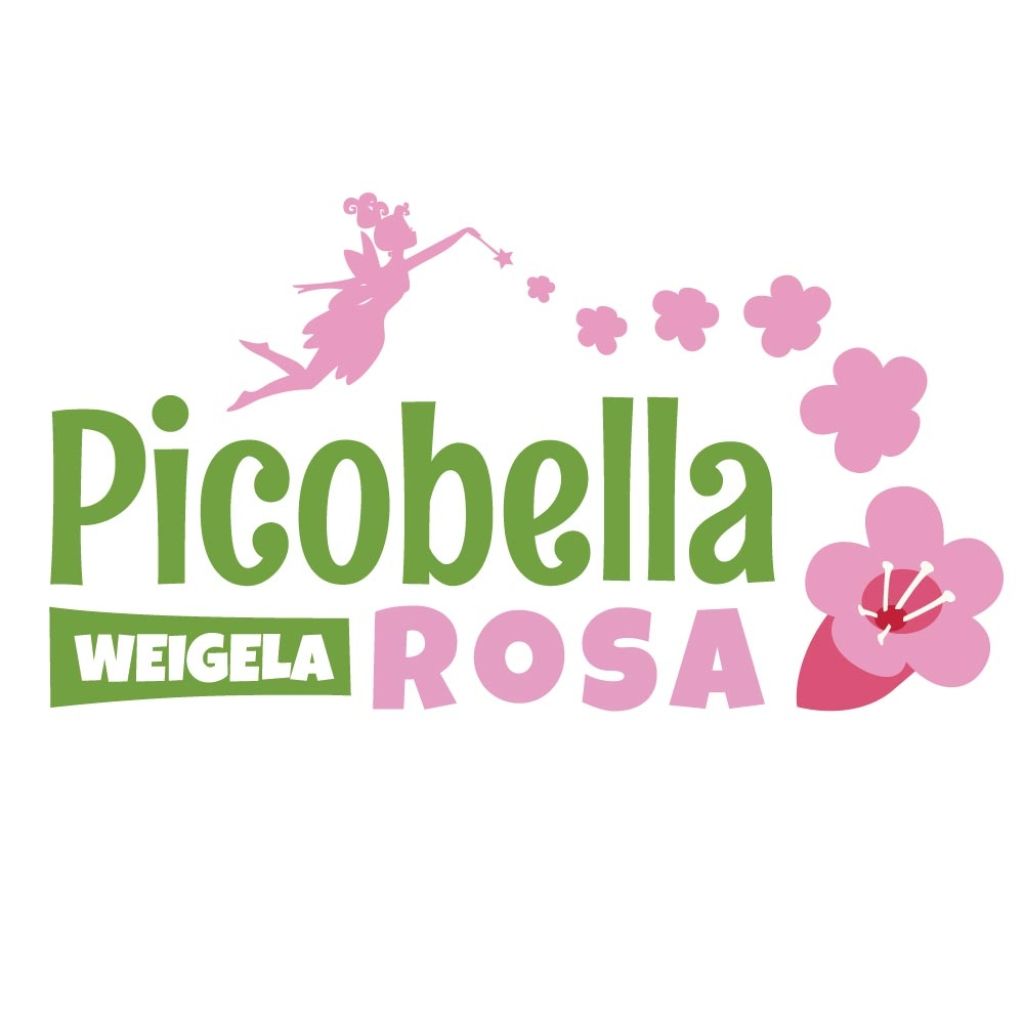 Weigela Florida Picobella Rosa 