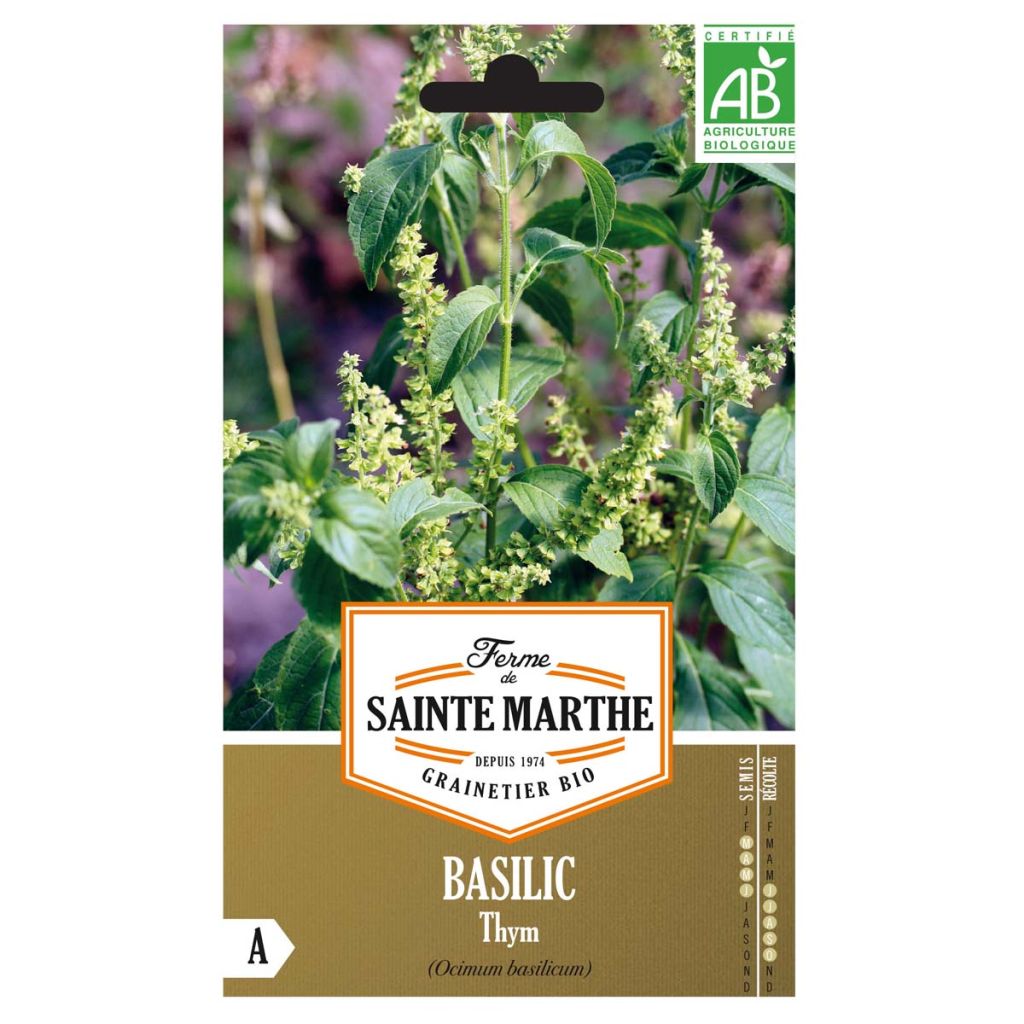 Thyme Basil - Ferme de Sainte Marthe Seeds