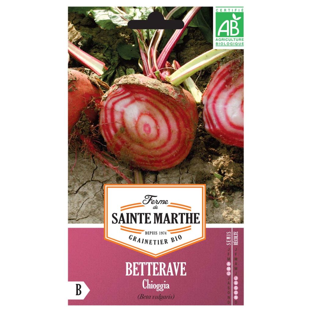Chioggia Beetroot - Ferme de Sainte Marthe seeds