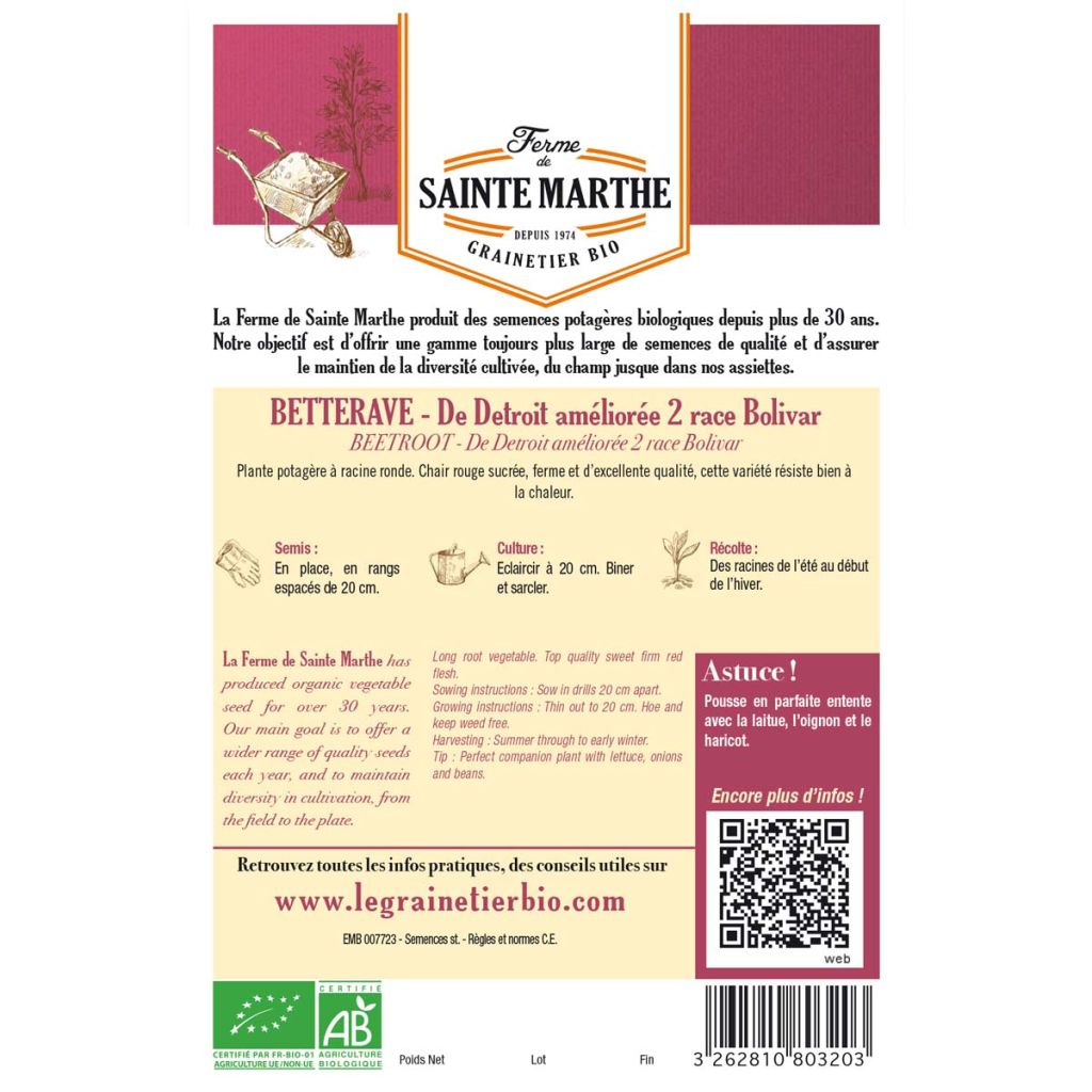 Organic Detroit Improved 2 Bolivar Beetroot - Ferme de Sainte Marthe seeds - Beta vulgaris