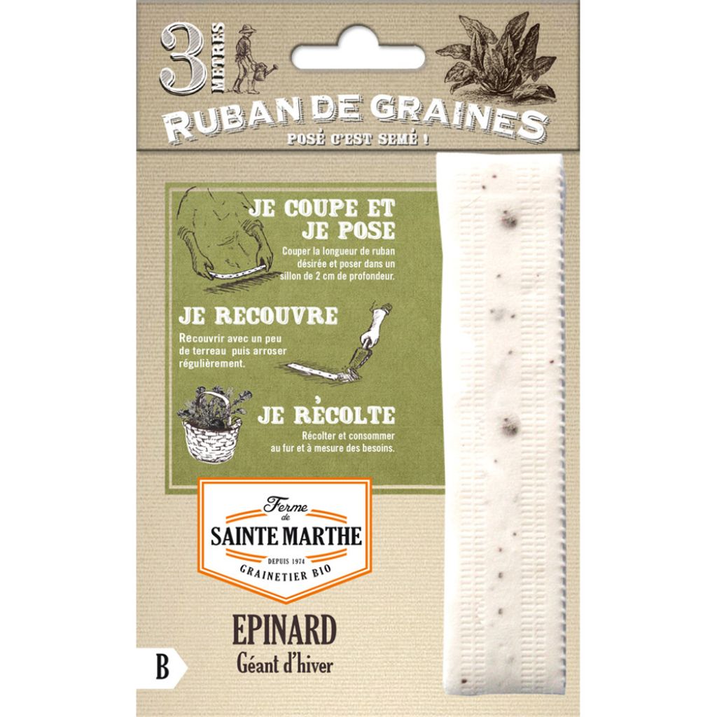 Spinach Giant Winter Ribbon Seeds - Ferme de Sainte Marthe seeds