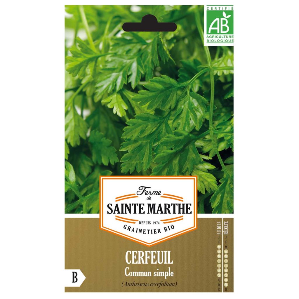 Chervil - Ferme de Sainte Marthe Seeds