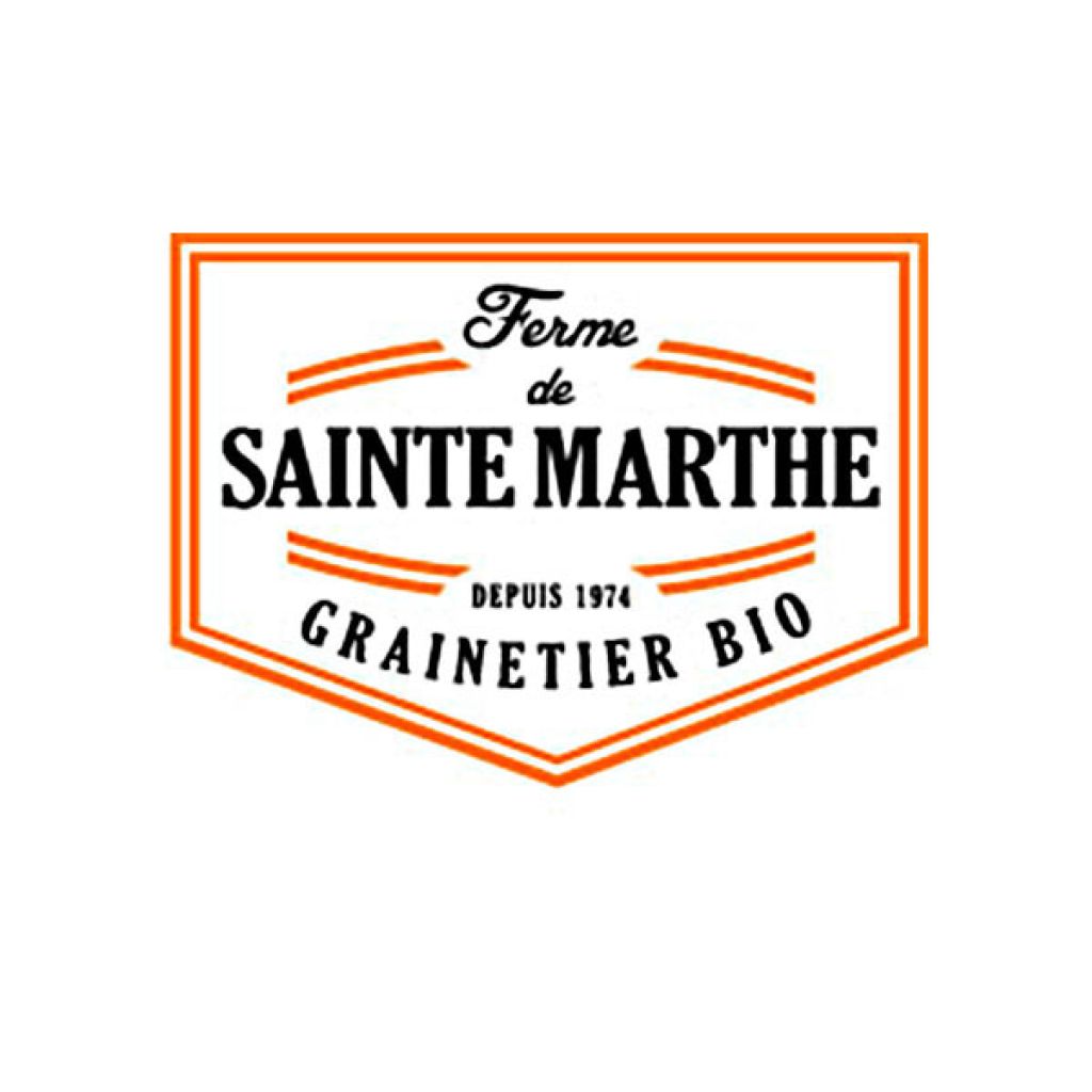 Organic Cabbage Marner Lagerrot - Ferme de Sainte Marthe seeds - Brassica oleracea capitata