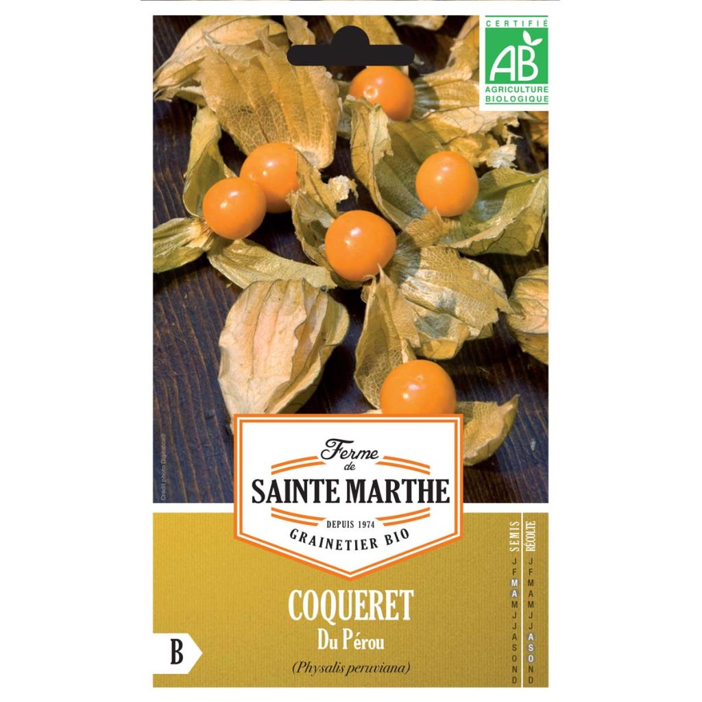 Physalis edulis - Ferme de Sainte Marthe seeds