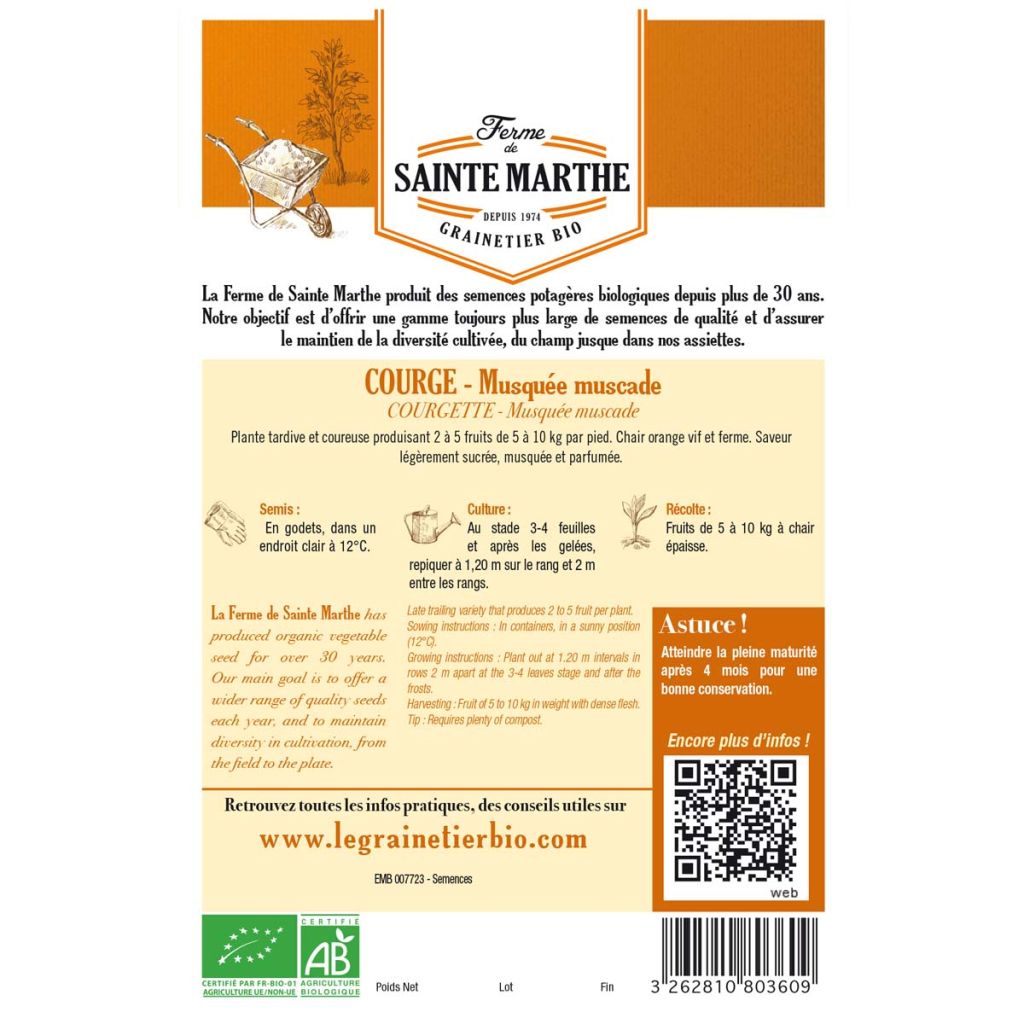 Winter Squash Muscade - Ferme de Sainte Marthe Seeds