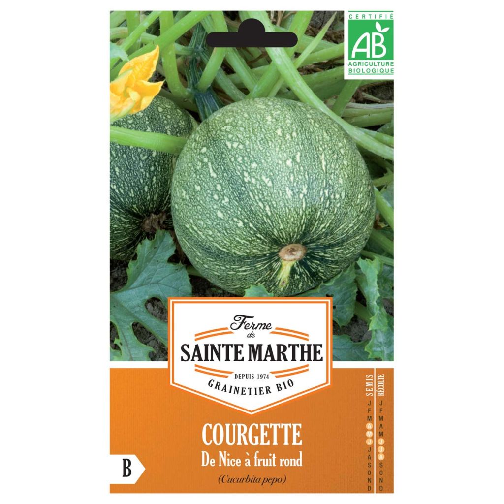Courgette Nice à fruit rond - Ferme de Sainte Marthe Seeds