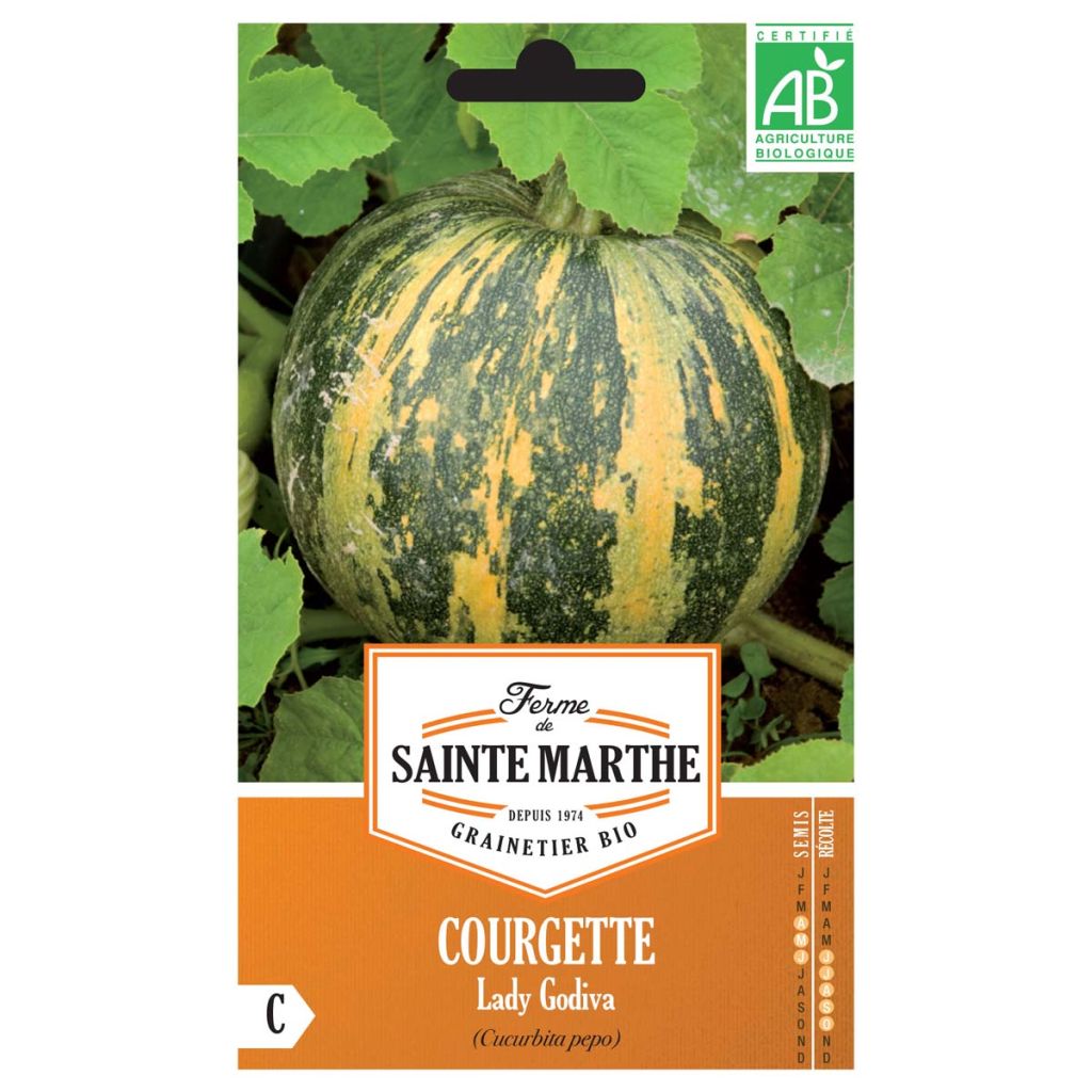 Cucurbito pepo Lady Godiva organic seeds - pumpkin