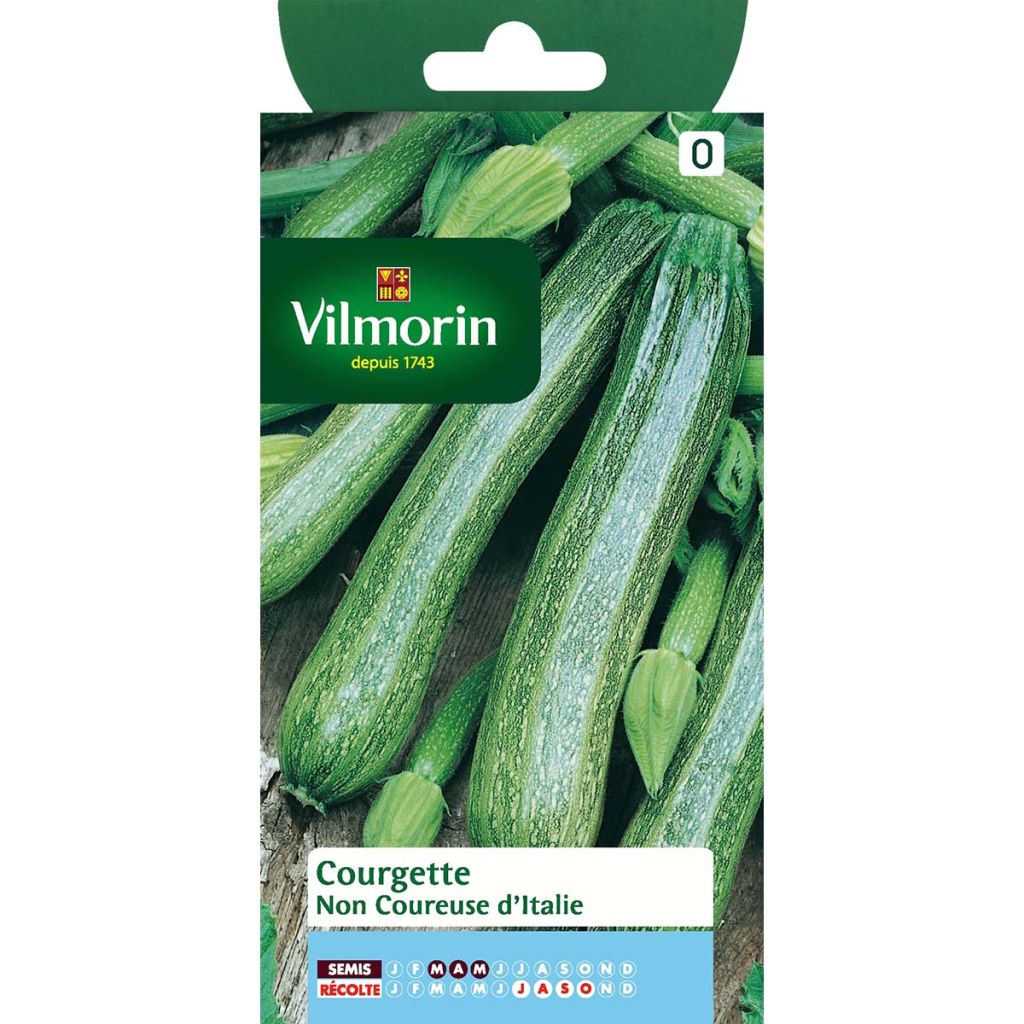 Non-trailing Zucchini - Vilmorin seeds - Cucurbita pepo
