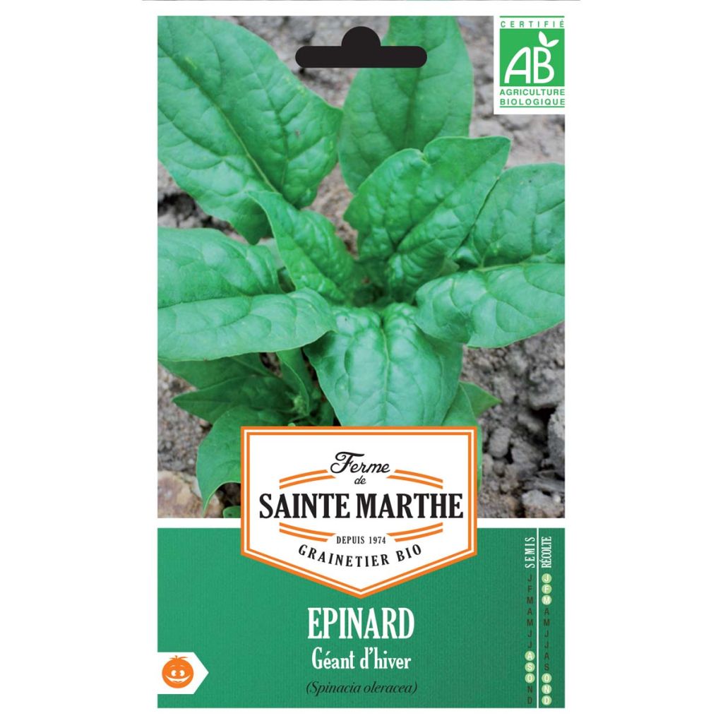 Spinach Giant Winter - Ferme de Sainte Marthe Seeds