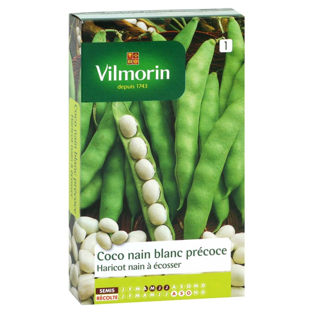 Bush Shell Bean Coco - Vilmorin Seeds
