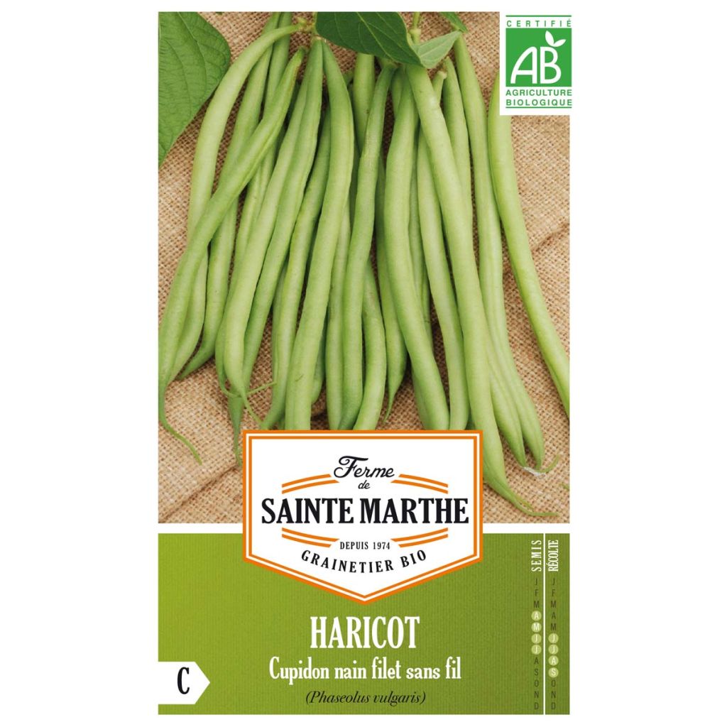 Dwarf Filet Bean Cupidon - Ferme de Sainte Marthe Seeds