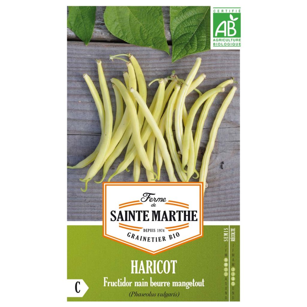 Dwarf Organic French Bean Fructidor - Ferme de Sainte Marthe seeds
