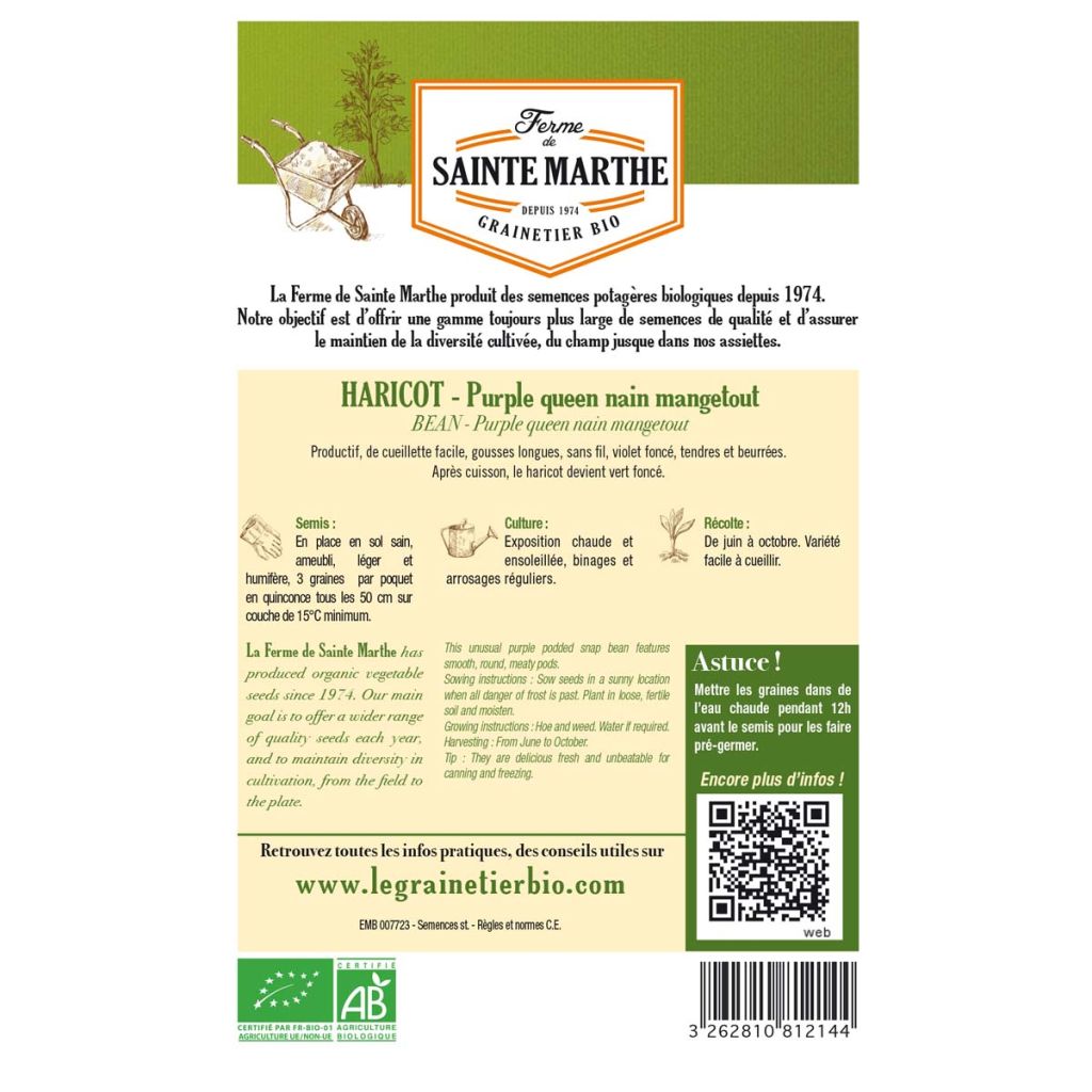 Dwarf French Bean Purple Queen - Ferme de Sainte Marthe Seeds