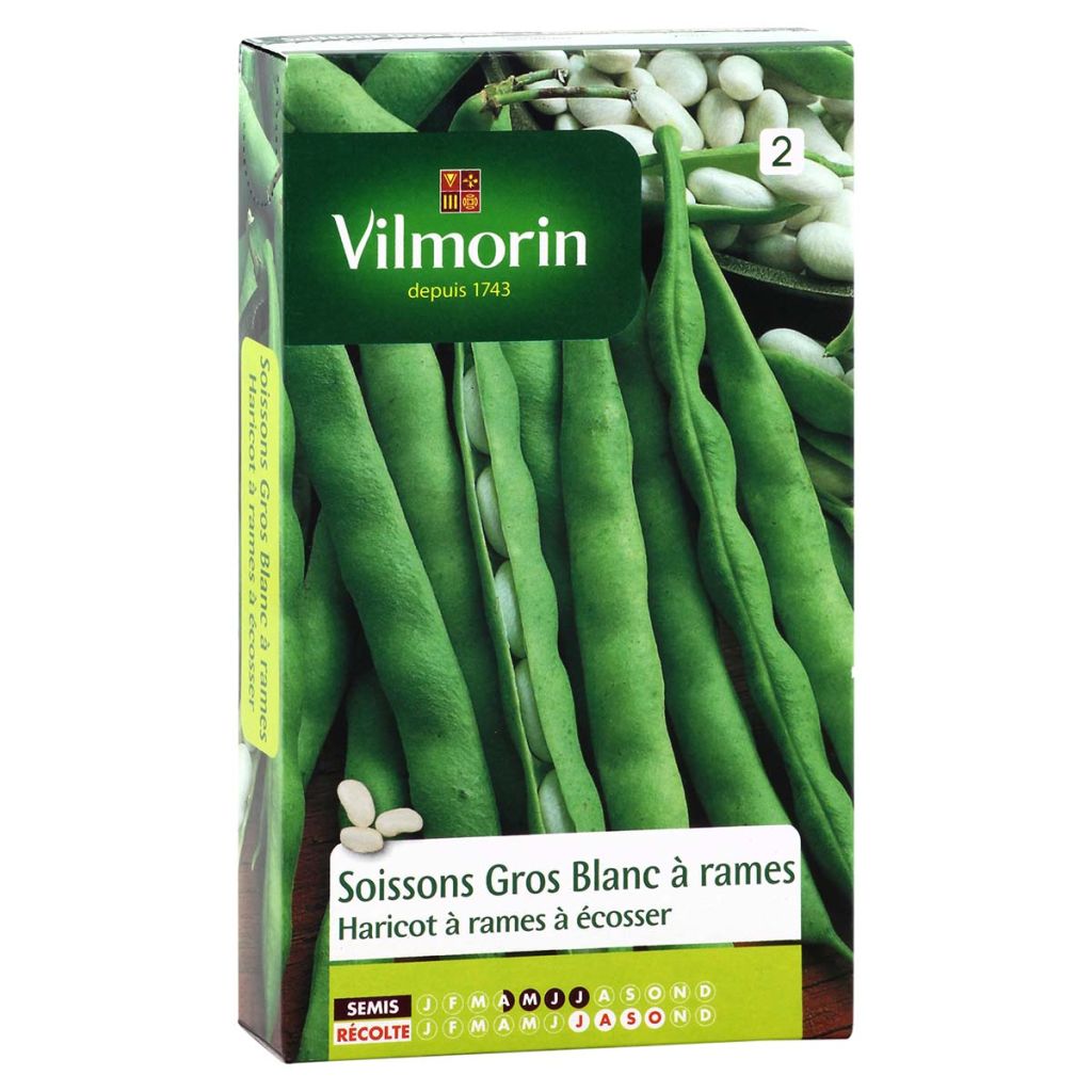 Haricot à rames Soissons gros blanc à rames - Vilmorin