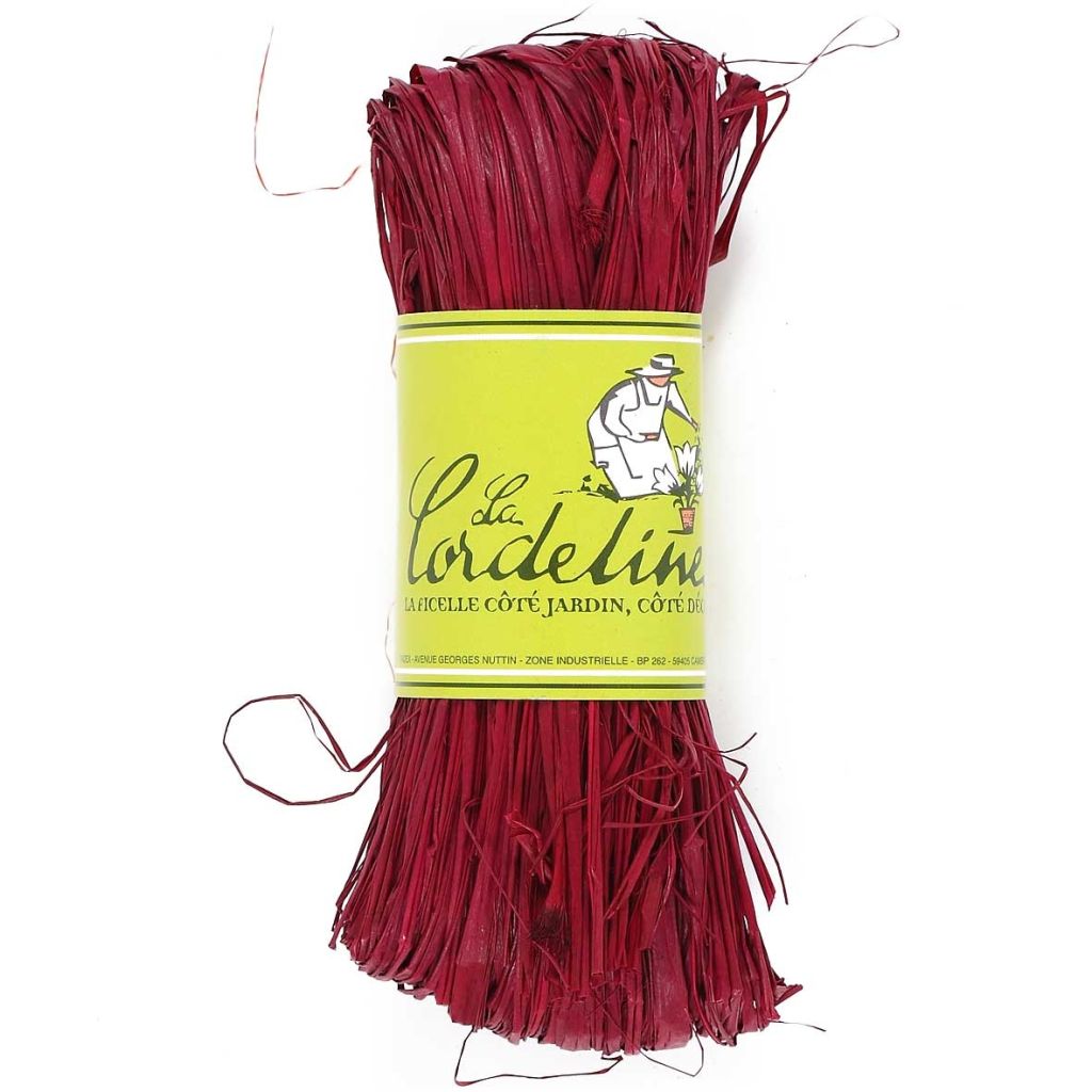50g Raffia from The Cordeline
