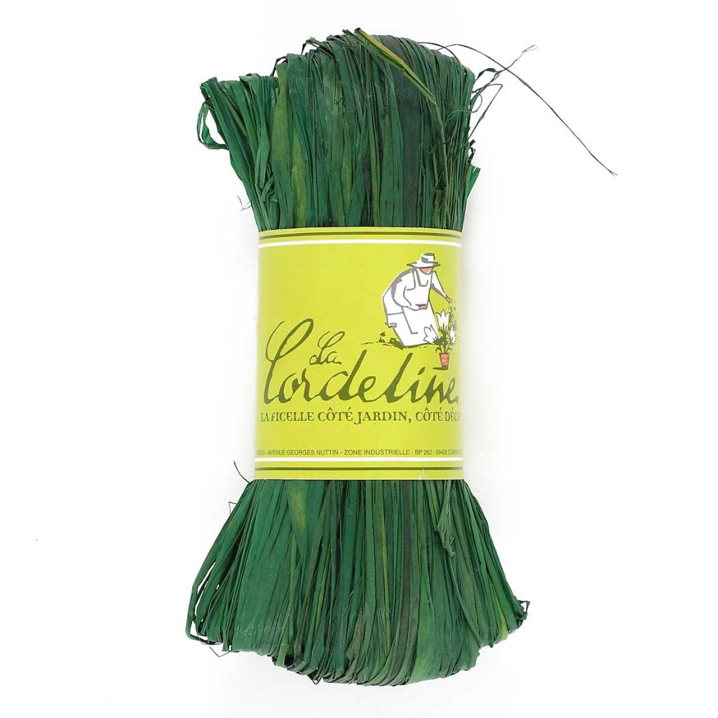 50g Raffia from The Cordeline