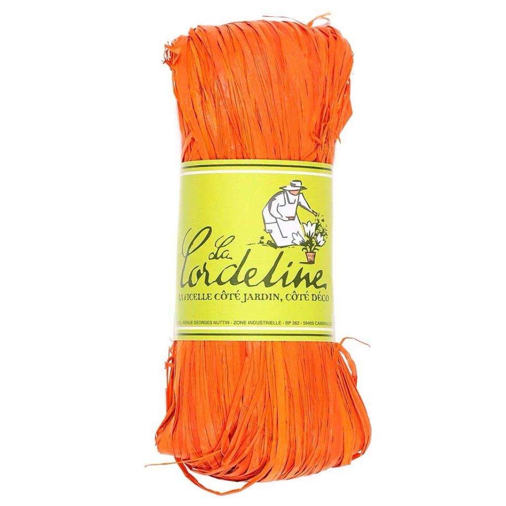 50g Raffia from The Cordeline