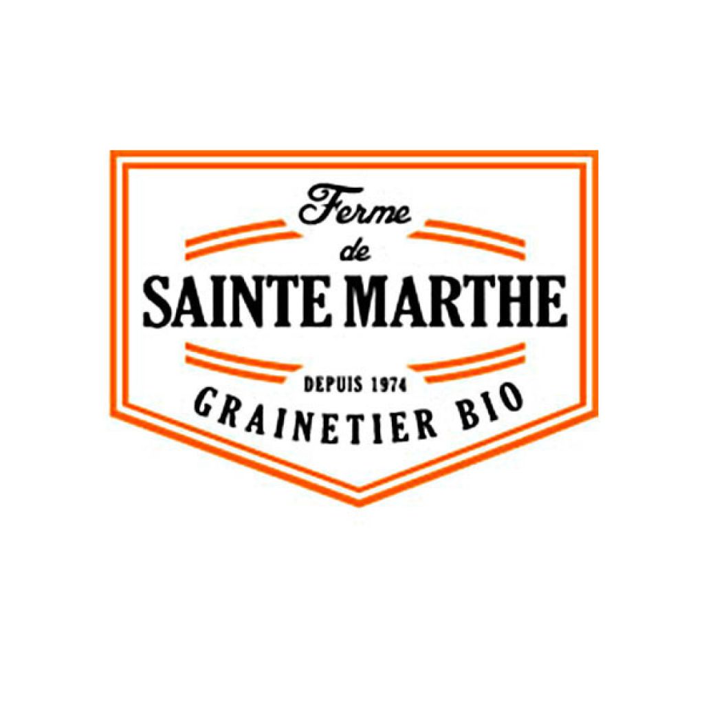 Organic Lettuce Navara - Ferme de Sainte Marthe seeds - Lactuca sativa