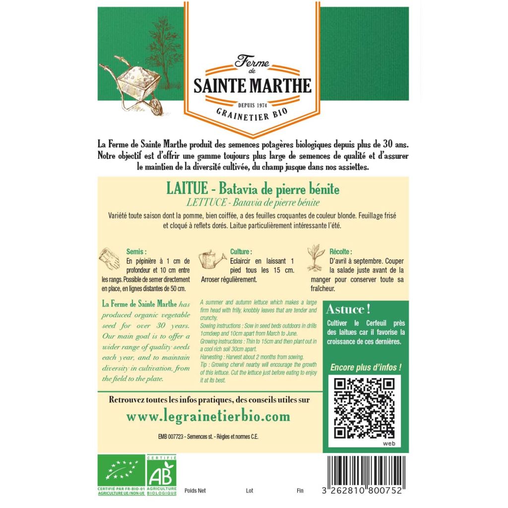 Butterhead Lettuce May Queen - Ferme de Sainte Marthe seeds