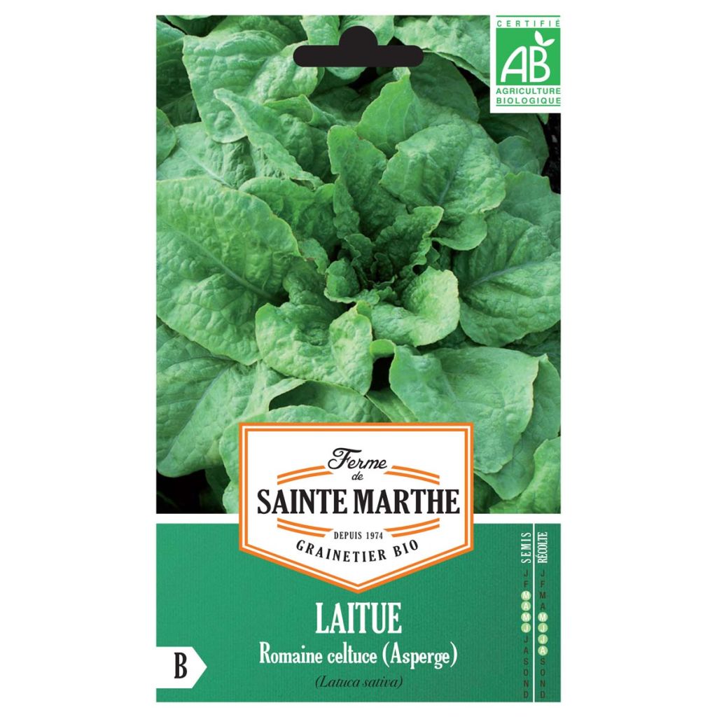 Celtuce - Ferme de Sainte Marthe seeds