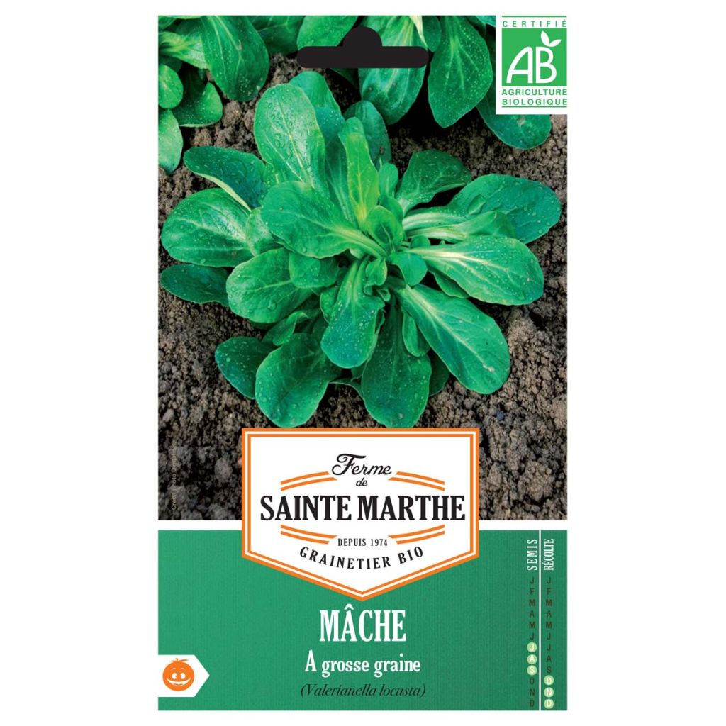 Large-seeded Lambs Lettuce - Ferme de Sainte Marthe Seeds