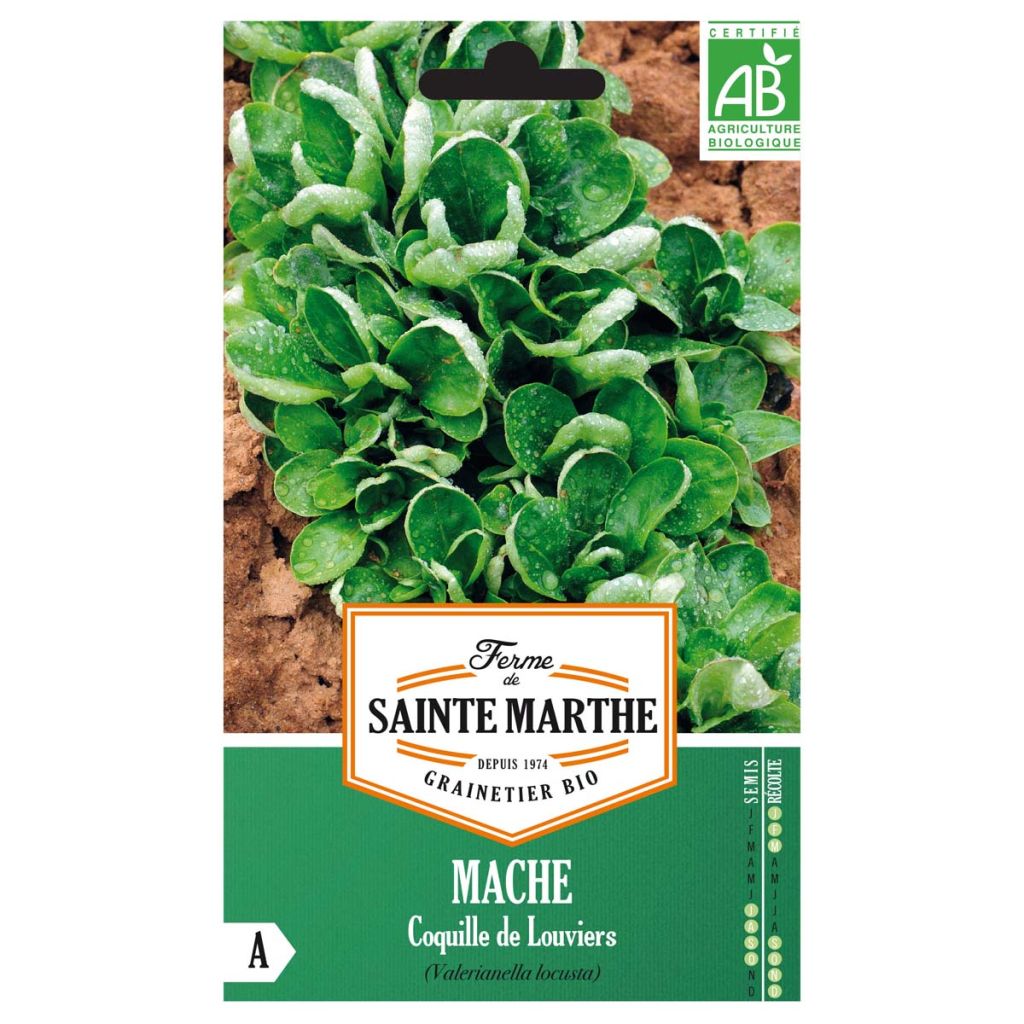 Lambs Lettuce Coquille de Louviers - Ferme de Sainte Marthe Seeds