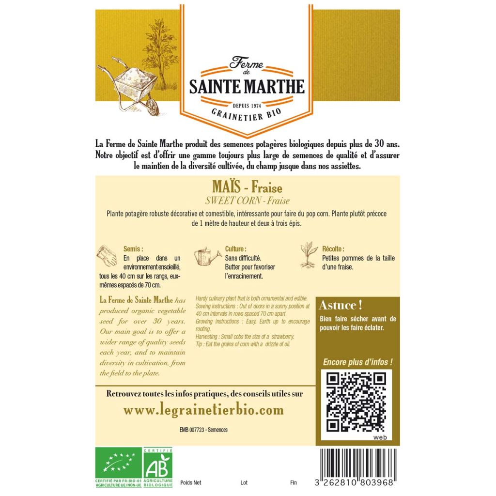 Corn Strawberry Popcorn - Ferme de Sainte Marthe Seeds