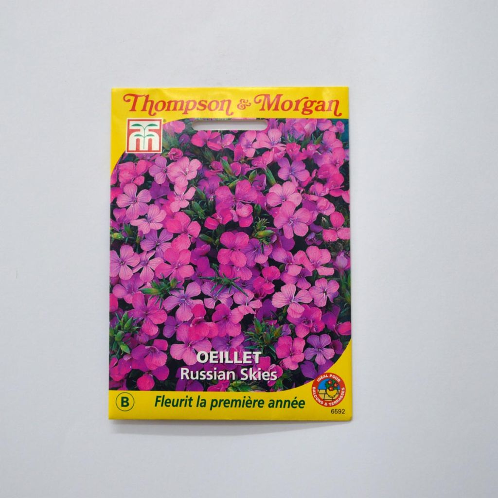 Graines d'Oeillet Russian Skies - Dianthus