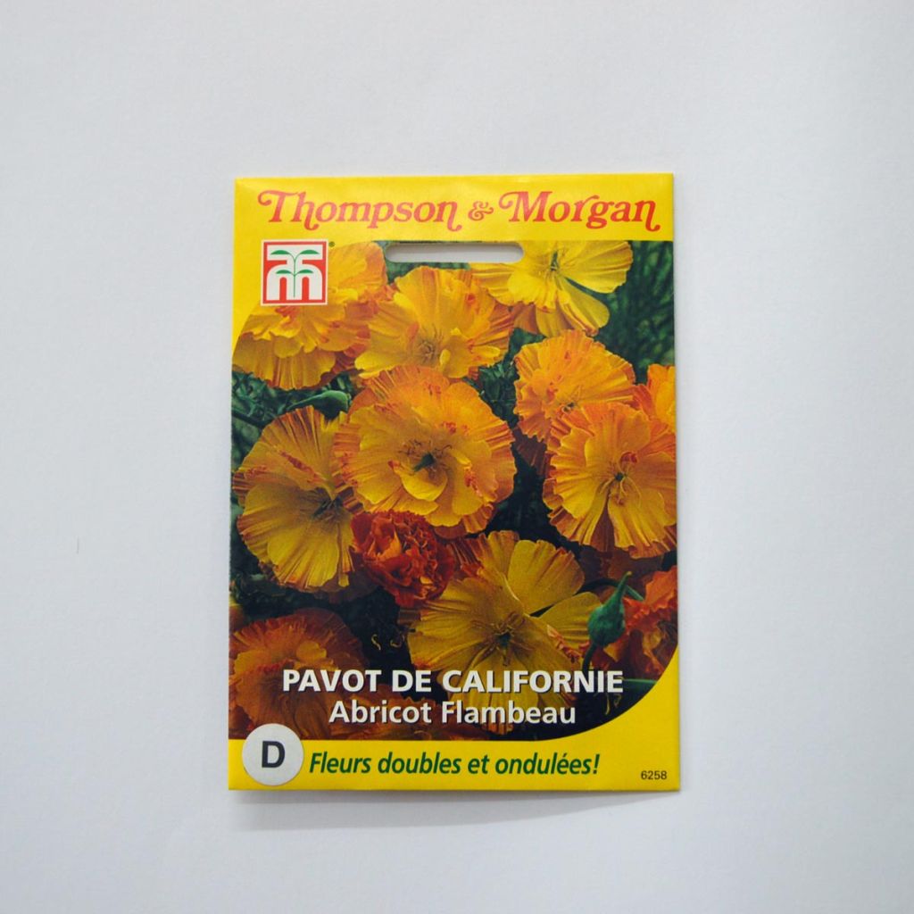 California Poppy Apricot Flambeau Seeds - Eschscholzia californica