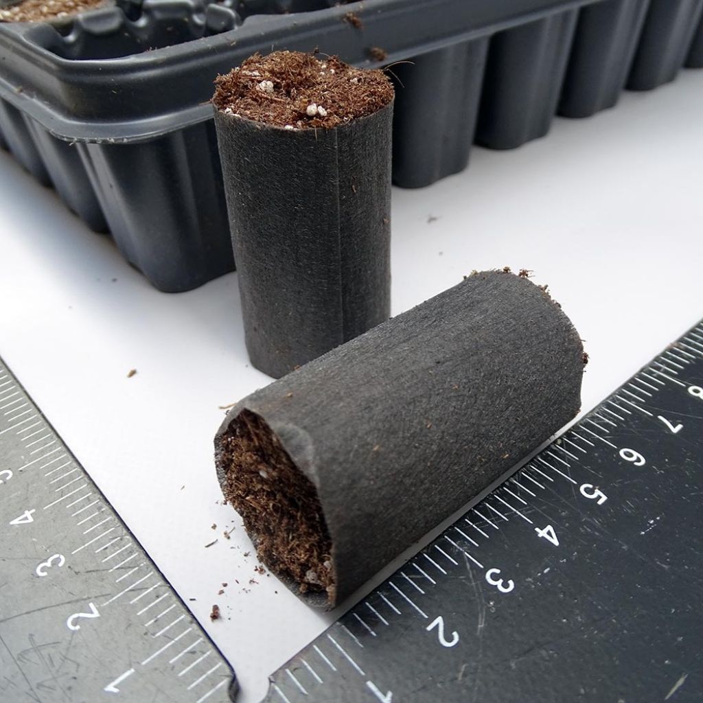 Fertiss 3 x 5cm (1x 2in) Tray and Plugs Kit: 104 Plug Tray