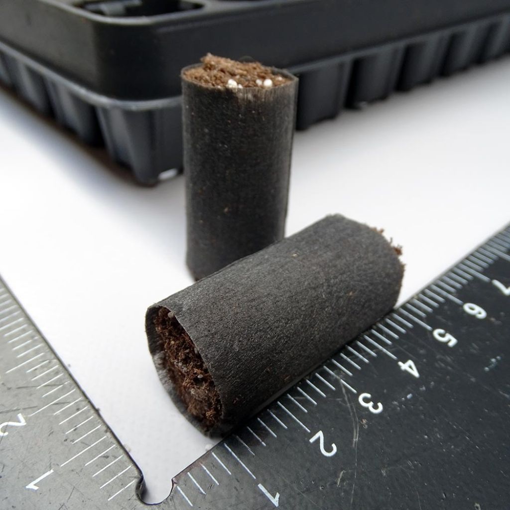 Fertil Fertiss 2 x 4cm (1 x 2in) Tray and Plugs Kit: 150 Plug Tray