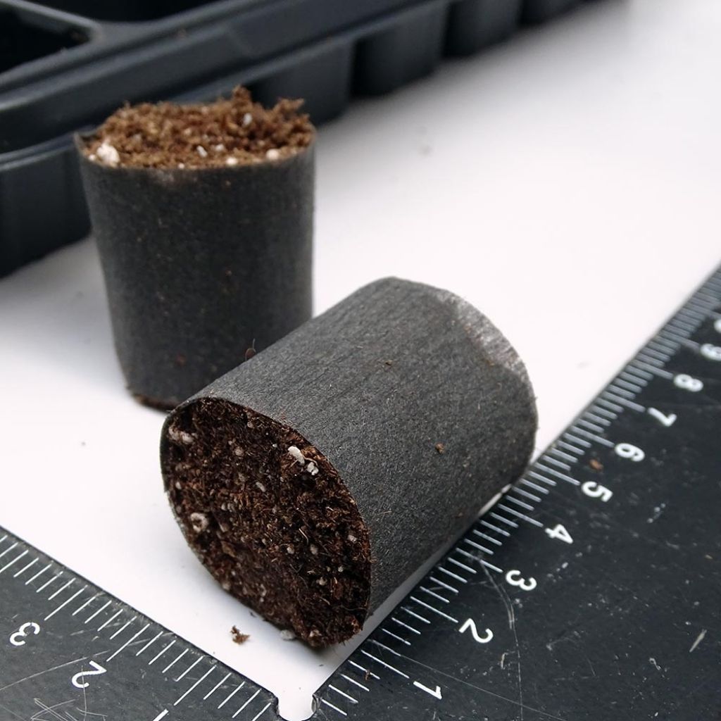 Fertiss 3.2 x 3.5cm (1x 1in) Tray and Plugs Kit: 84 Plug Tray