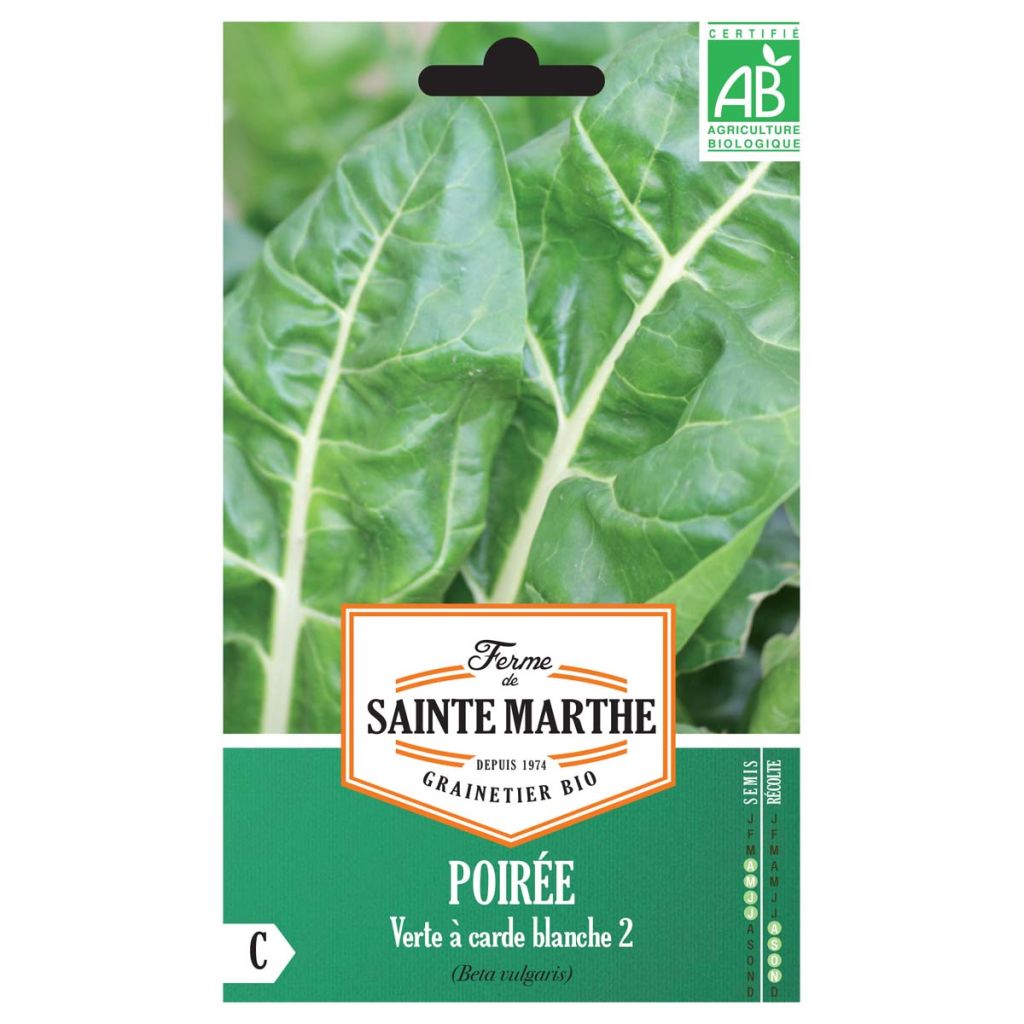 Swiss Chard Verte à Carde Blanche 2 - Ferme de Sainte Marthe Seeds