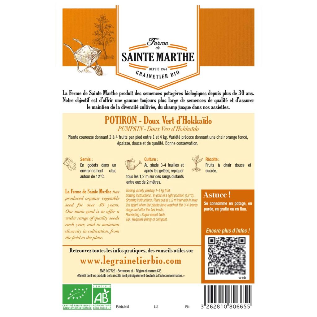 Squash Green Hokkaido - Ferme de Sainte Marthe Seeds