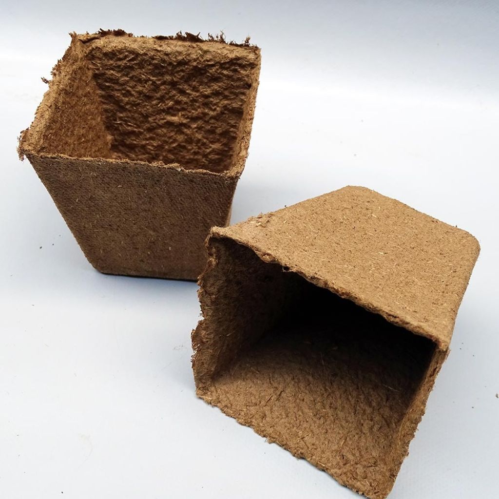 Organic biodegradable square pots FERTILPOT - 8 x 8 x 8 cm (3in) - sold in packs of 24.