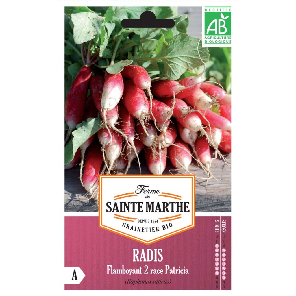 Radish Patricia - Ferme de Sainte Marthe Seeds
