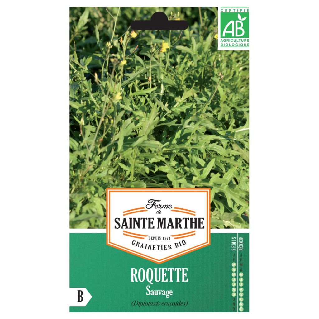 Wild Rocket - Arugula - Ferme de Sainte Marthe Seeds