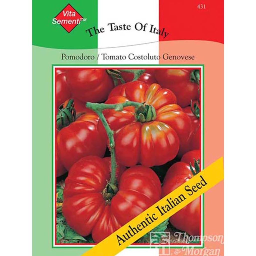 Tomato Costoluto Genovese
