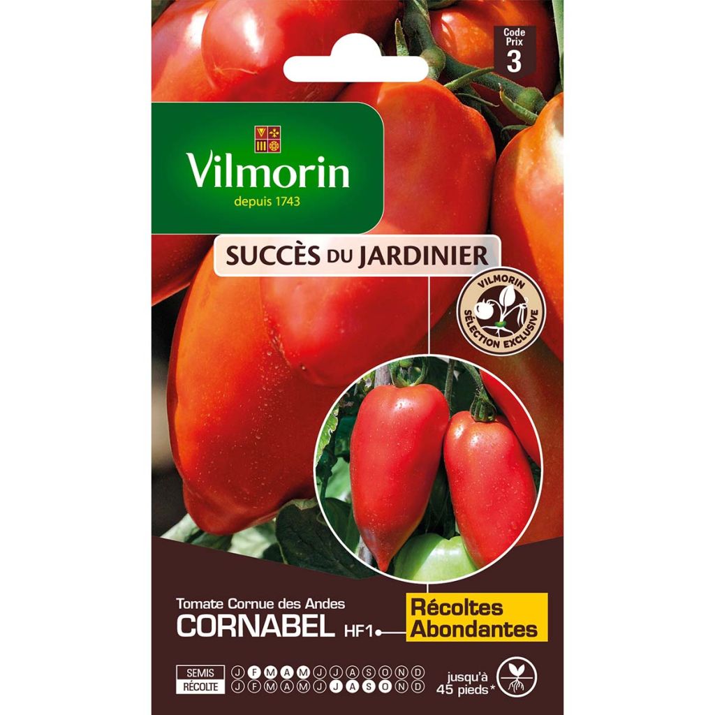 Tomato Cornabel F1 - Vilmorin seeds