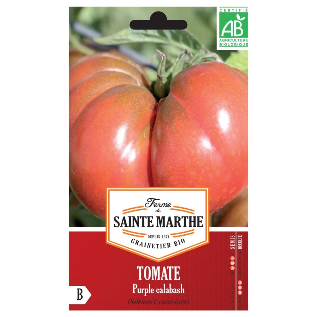 Purple Calabash Organic Tomato - Ferme de Sainte Marthe