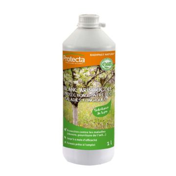 Protecta Natural tree white wash 1L