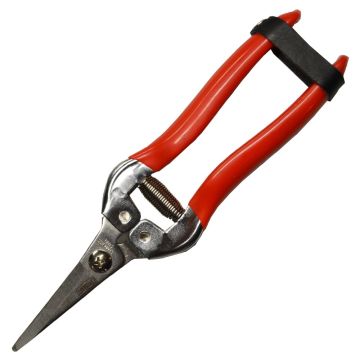 Traditional Polet Fruit Snips