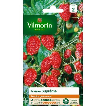 Fragaria vesca 'Four Seasons Supreme'