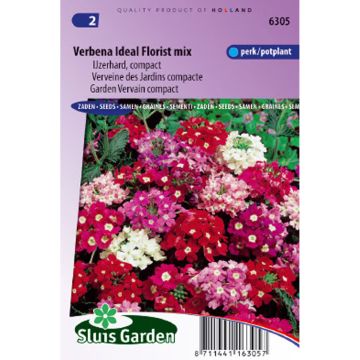 Verveine des Jardins compacte Ideal Florist en mélange Verveine des Jardins compacte Ideal Florist en mélange