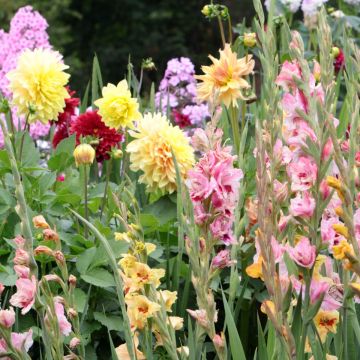 Promesse de Fleurs' anti-waste bulbs basket