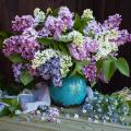 Shrubs for flower arrangements